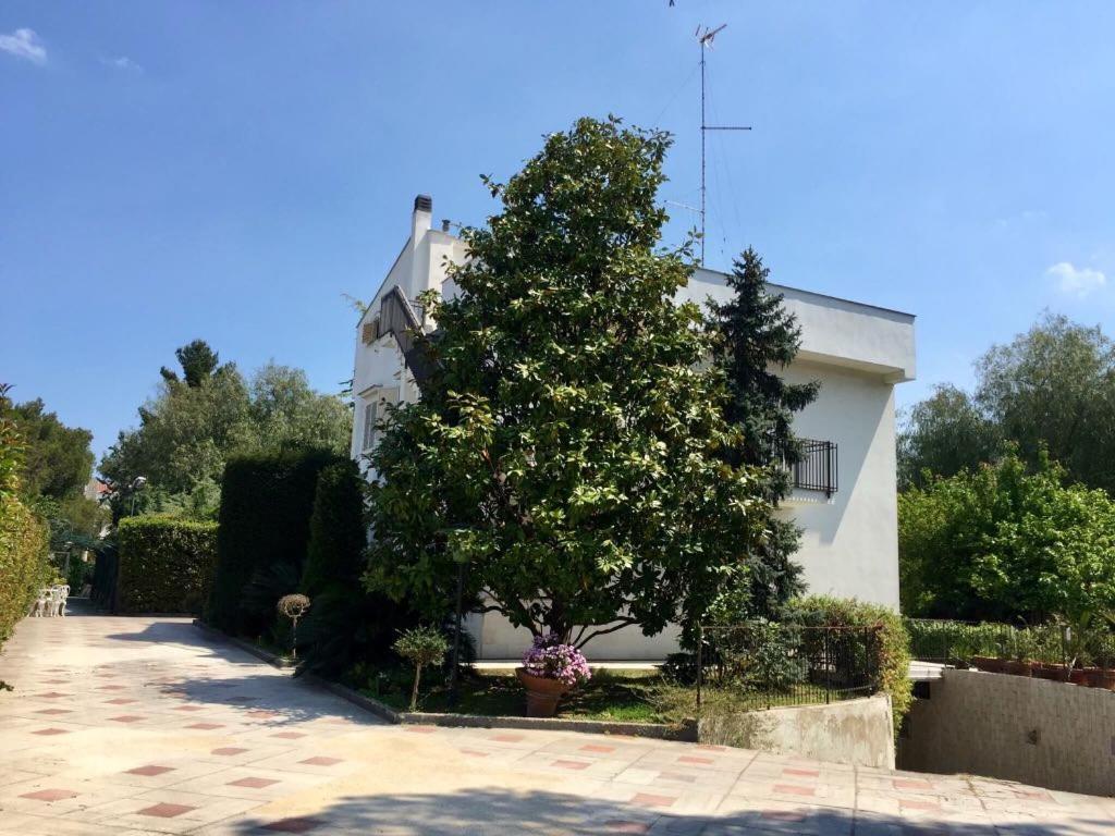 B&B Amendola バーリ エクステリア 写真